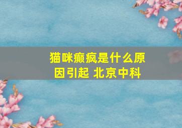 猫咪癫疯是什么原因引起 北京中科